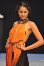 Model walk the ramp for Sounia Gohil Show at IRFW 2012 Day 2 in Goa on 29th Nov 2012 (28).JPG